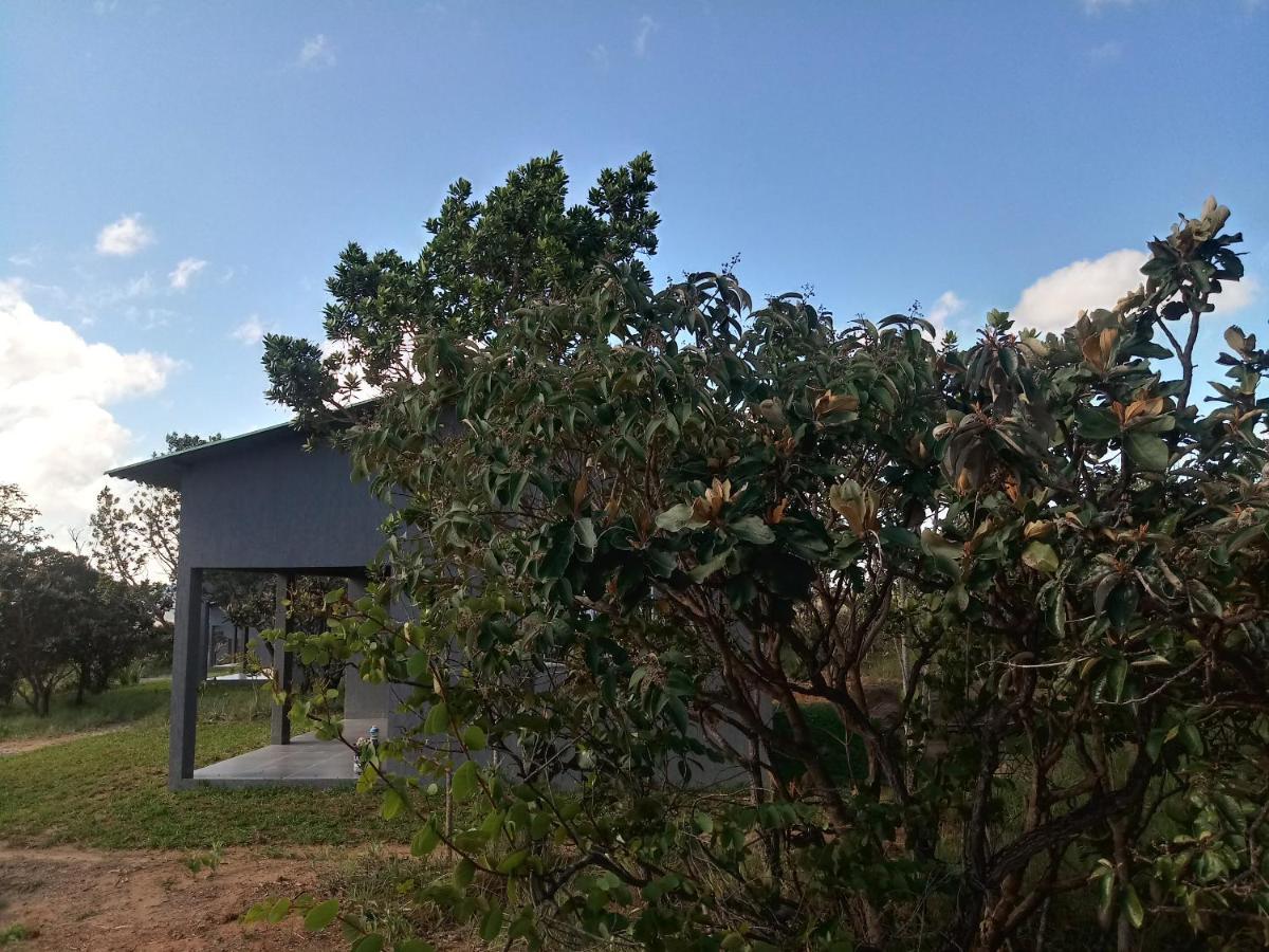 Chales Recanto Da Baleia Alto Paraiso de Goias Ngoại thất bức ảnh